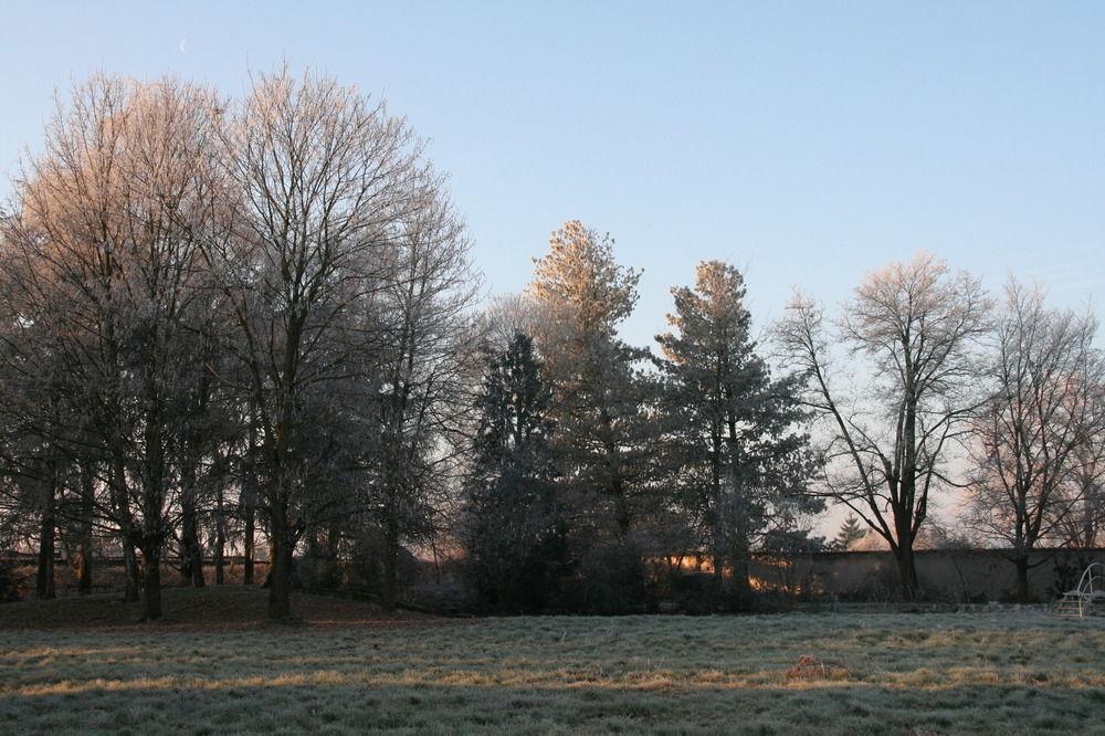 Bed and Breakfast Manoir De La Manantie - Teritoria Lezoux Exteriér fotografie